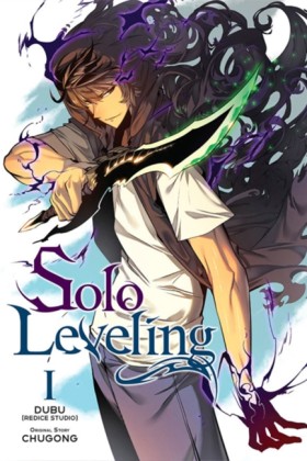 Solo Level &hellip;