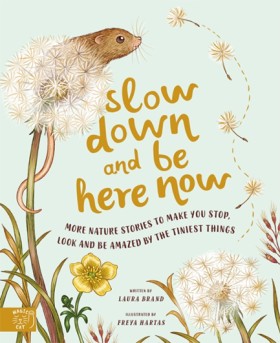 Slow Down &hellip;