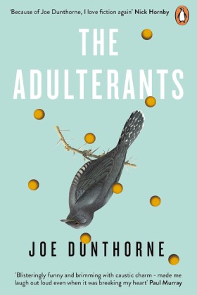 THE ADULTE &hellip;