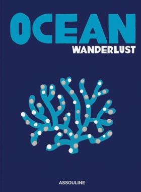 OCEAN WAND &hellip;