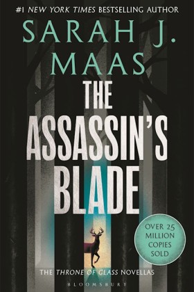 The Assass &hellip;