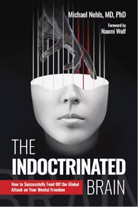 The Indoct &hellip;