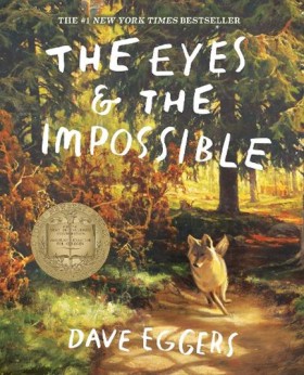 The Eyes a …