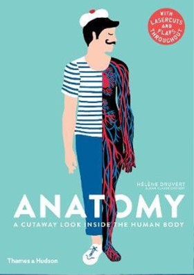 ANATOMY: A …