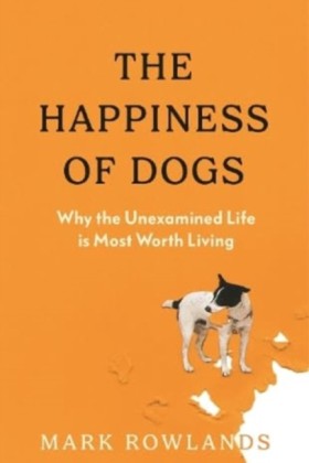 The Happin &hellip;