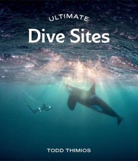Ultimate D …