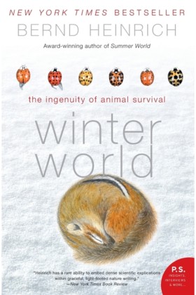 WINTER WOR &hellip;