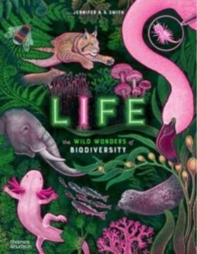 LIFE : THE &hellip;