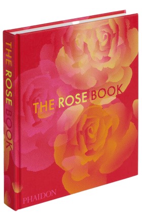 THE ROSE B &hellip;