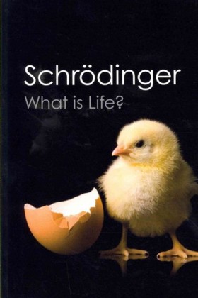 WHAT IS LI …