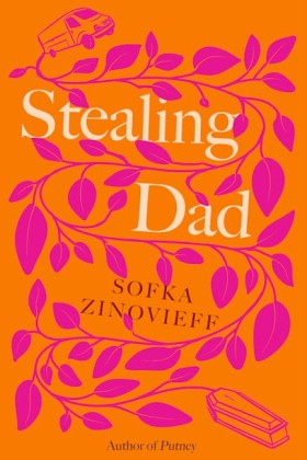 Stealing D &hellip;