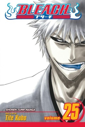 Bleach, Vo …