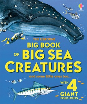 Big Book o &hellip;