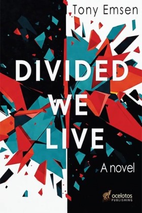 DIVIDED WE &hellip;