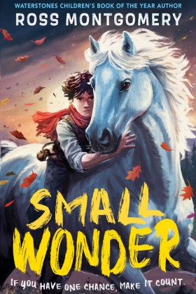 Small Wond &hellip;