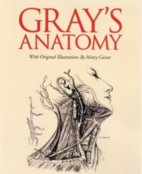 Grays Anat &hellip;