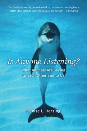 Is Anyone …