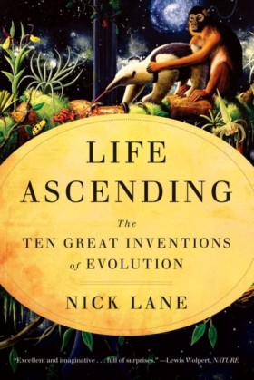 LIFE ASCEN &hellip;