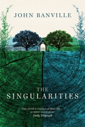 The Singul &hellip;