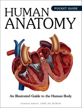 Human Anat &hellip;