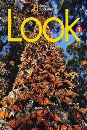 LOOK 1 SB &hellip;