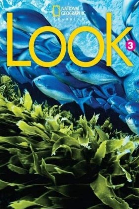 LOOK 3 WB …