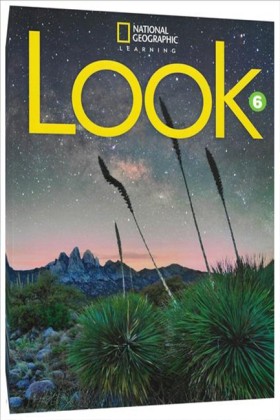 LOOK 6 SB …