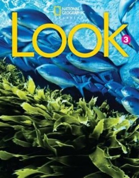LOOK 3 SB …