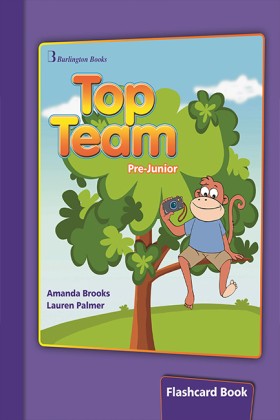 TOP TEAM P …