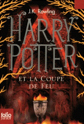 HARRY POTT …