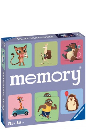 MEMORY RAV …