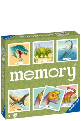 MEMORY RAV …