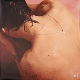 HARRY STYL &hellip;