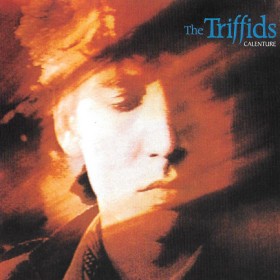 THE TRIFFI …