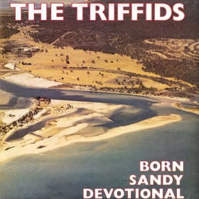 THE TRIFFI &hellip;