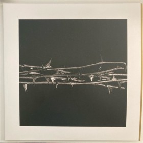 AMENRA - D …