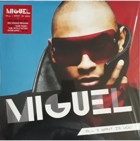 MIGUEL - A …