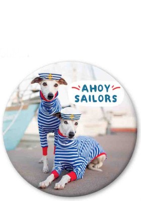 ΜΑΓΝΗΤΗΣ P &hellip;