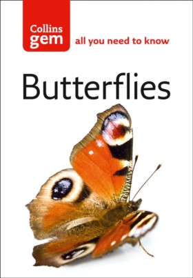 Butterflie &hellip;