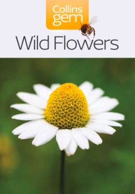Wild Flowe &hellip;