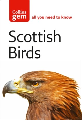 Scottish B &hellip;
