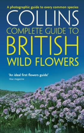 British Wi &hellip;