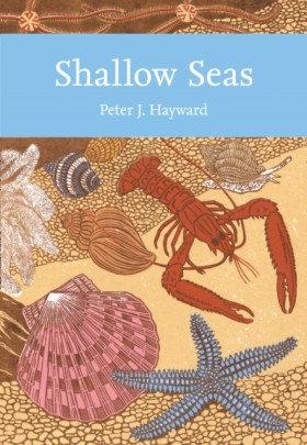 Shallow Se …