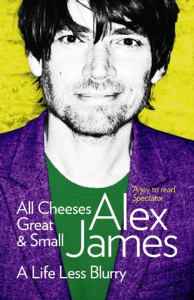 All Cheese …