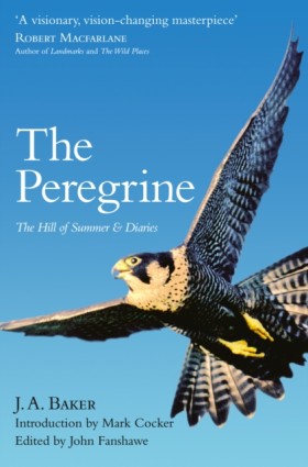 The Peregr &hellip;