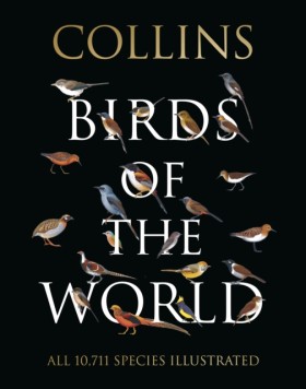 Collins Bi …
