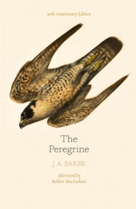 The Peregr &hellip;