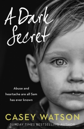 A Dark Sec &hellip;