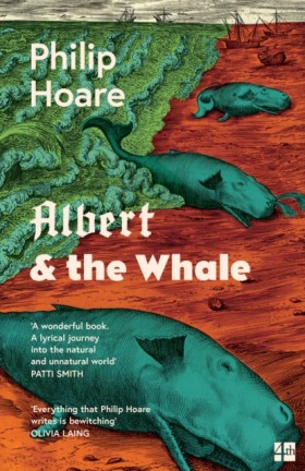 Albert & t …