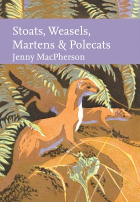 Stoats, We &hellip;